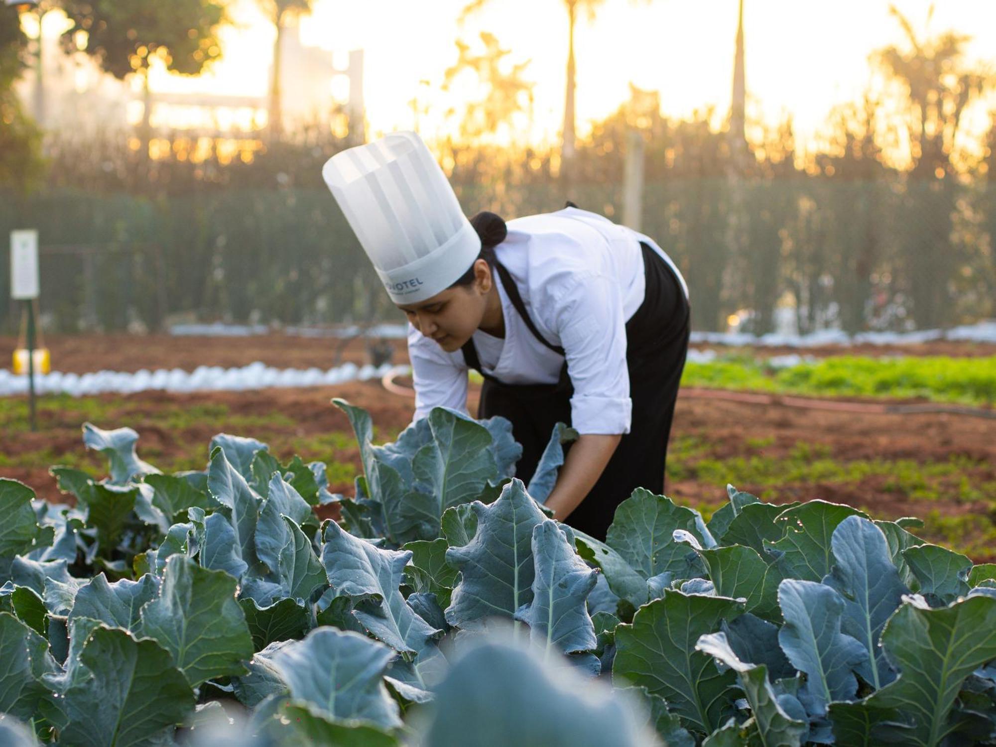 Novotel Hyderabad Airport Экстерьер фото Chef at work